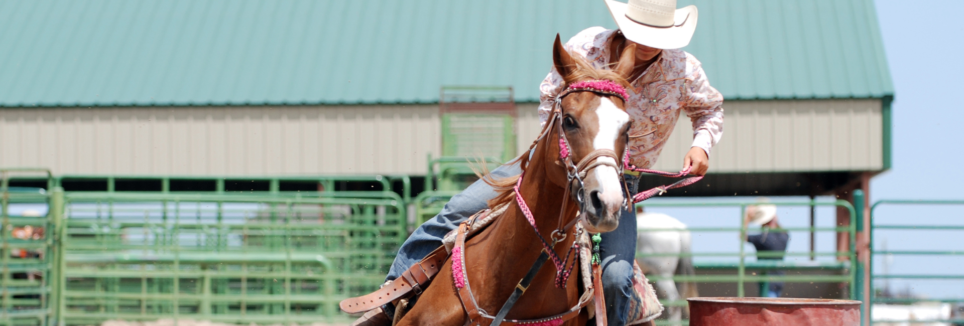 Rodeo Cowgirl On Horse 1920X650